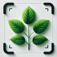 Plant Identifier Plant Scanner