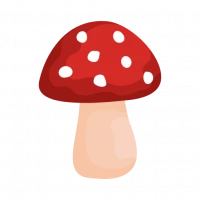 Shroomify - USA Mushroom ID