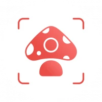 Picture Mushroom - Mushroom ID