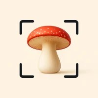 Mushroom Identifier - Fungi ID